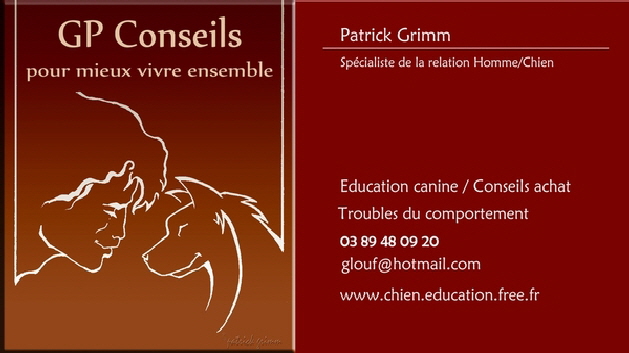 Carte visitel GP Conseils 600