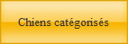 Chiens catgoriss