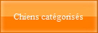 Chiens catgoriss