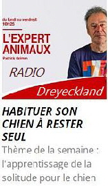 DKL site canin 1