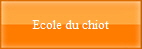 Ecole du chiot